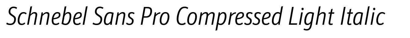 Schnebel Sans Pro Compressed Light Italic